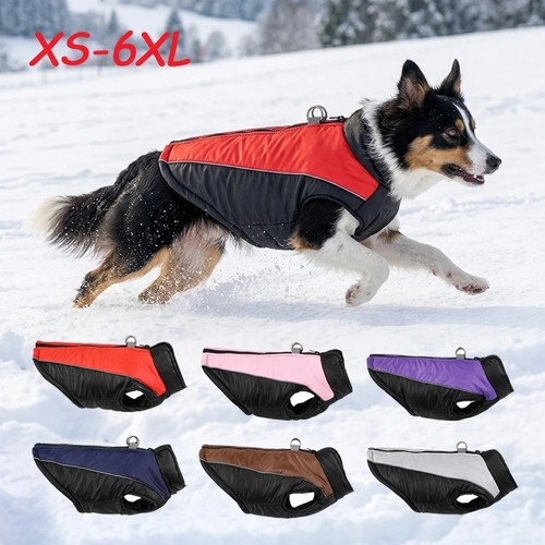 Dog winter coat - winter,