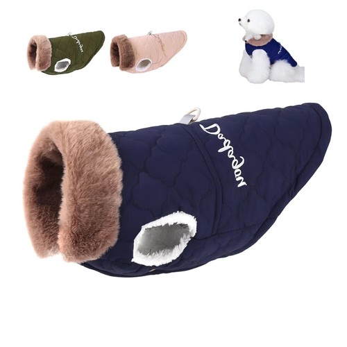 Warm pet dog - pet,