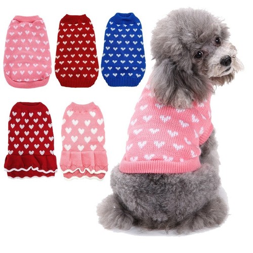 Small pet dog warm - pet,