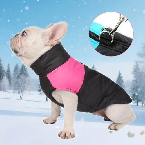 Winter dog coat - winter,