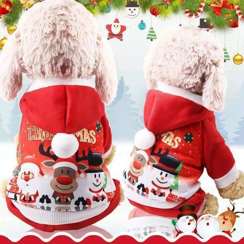 Outfit puppy cat - puppy,