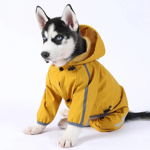 Pet dog raincoat - pet,