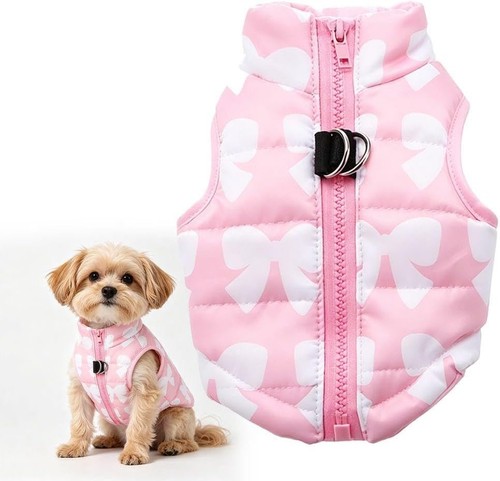 Small dog winter - dog, coat