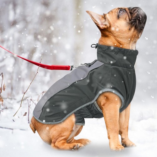Waterproof dog coat black - coat,